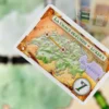 Ticket to Ride India & Zwitserland - Afbeelding 8